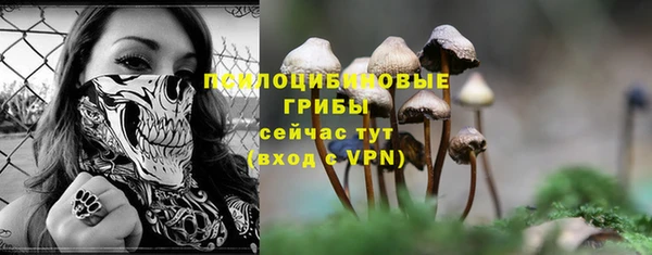 MDMA Каменка
