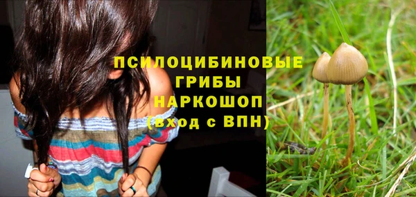кокс Каменногорск
