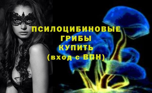 кокс Каменногорск